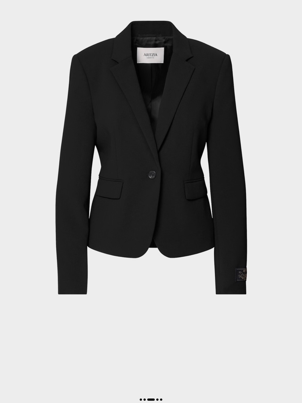 Aritzia etiquette blazer Black Tailored Single-Button Blazer